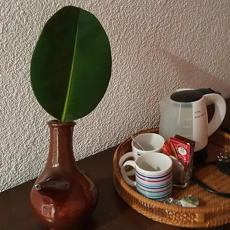 Guest house Residencia Catalina 2*